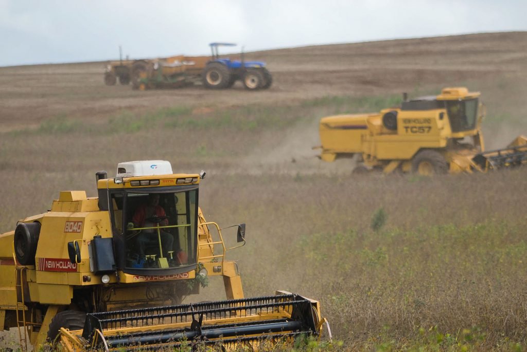 PIB do Paraná cresce quase 3% no segundo trimestre de 2022 A03b3106 5eb020581f293 Soja Aen 1024x685