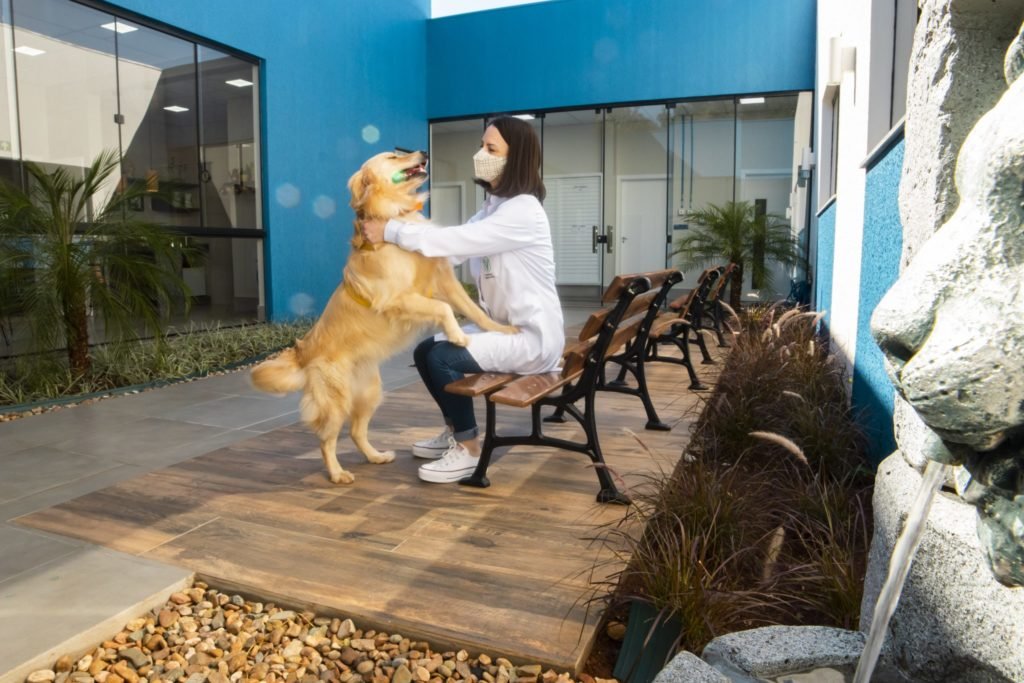 1c073d9f Centro Veterinario 7 Scaled 1024x683