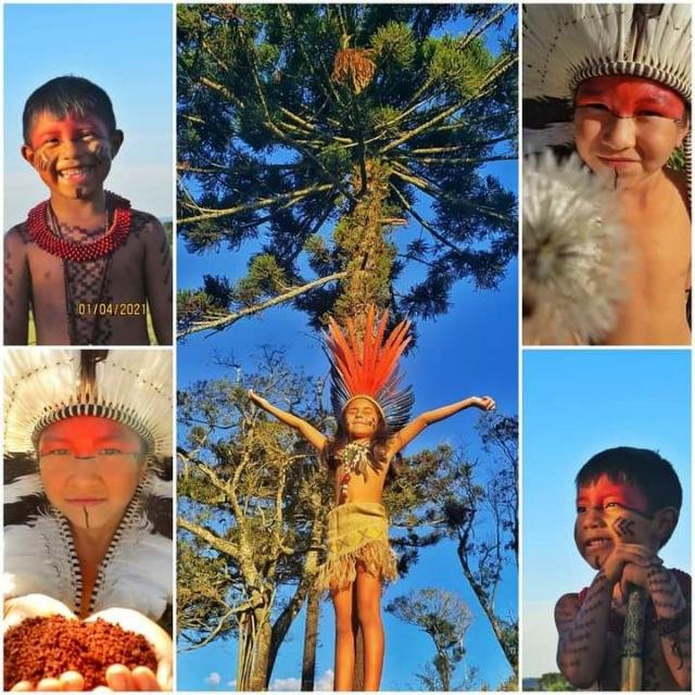 Cb8021e6 Mangueirinha