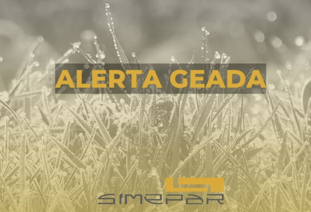 8f1e27b0 Captura De Tela 2021 05 14 Às 16.48.42 1024x697