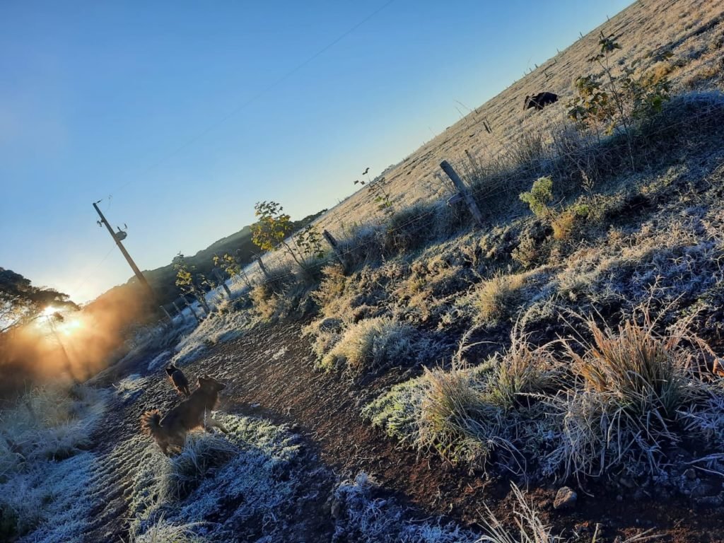 Df2c38f2 Temperatura 1024x768