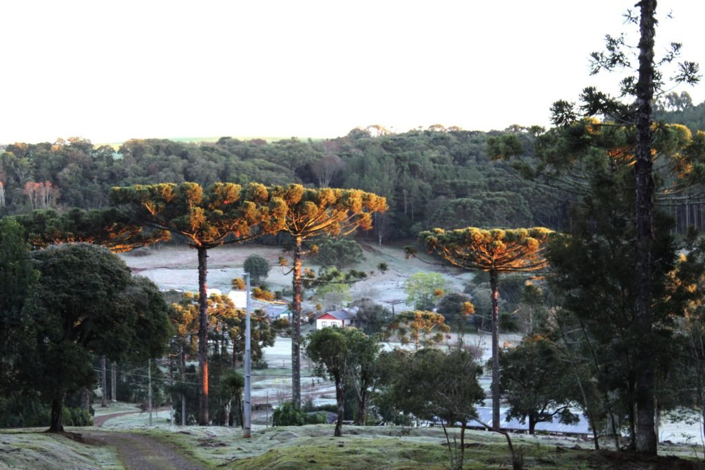 Inmet prevê frio em todo o país a partir de domingo 017fbdce Geada Scaled 1024x683