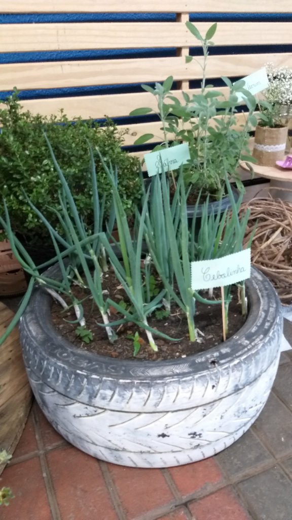 No mês do meio ambiente, Atlas Eletrodomésticos comemora resultados efetivos de práticas sustentáveis 0c61114b Whatsapp Image 2021 06 17 At 14.02.12 576x1024