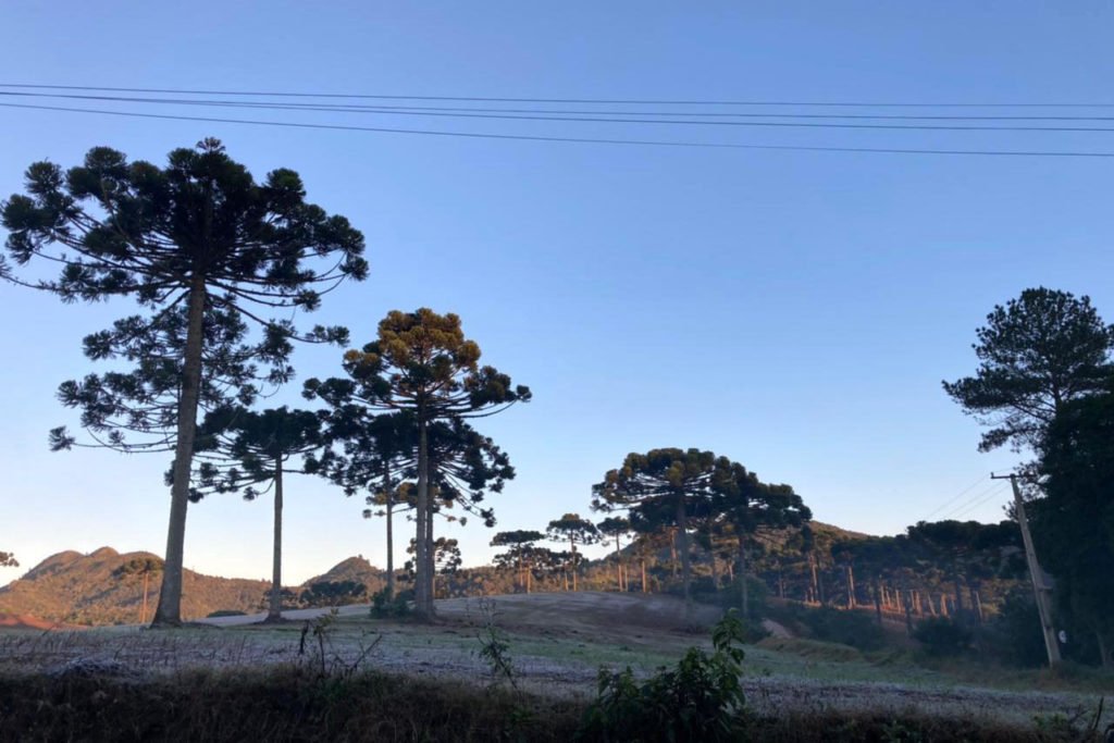 Inverno inicia nesta sexta-feira 20 de junho inverno