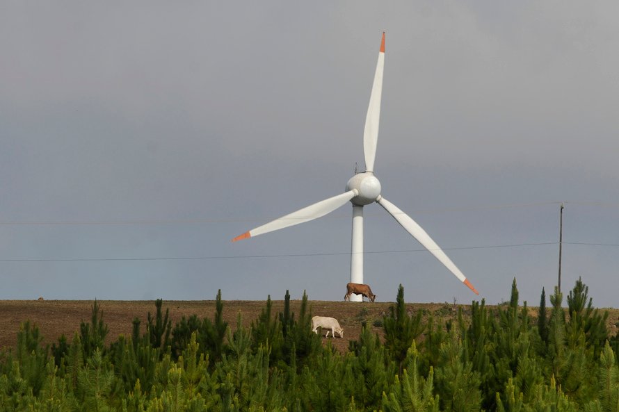 Ce162cd3 Normal Eolicas 2