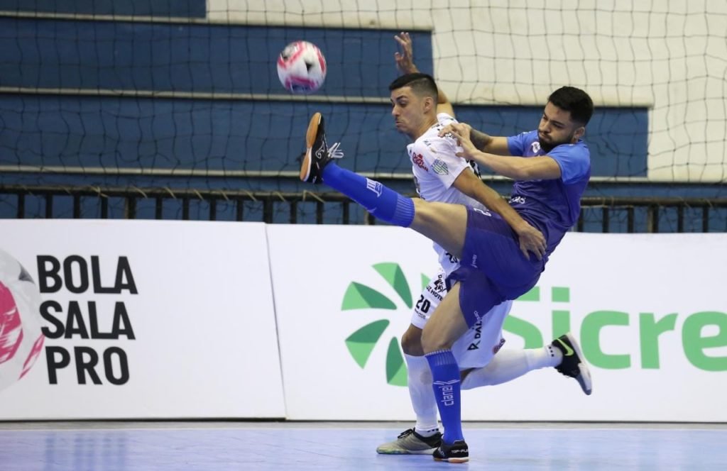 8199832f Pato 1024x664