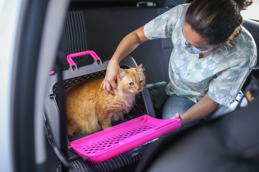 997423cd Img 7496 Scaled 1024x683