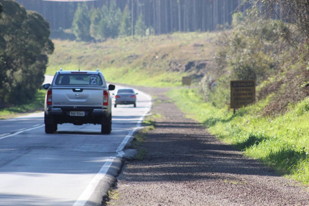 B0b97030 Palmas 1024x683