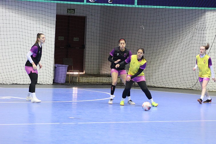 36900f17 Taca Brasil Site