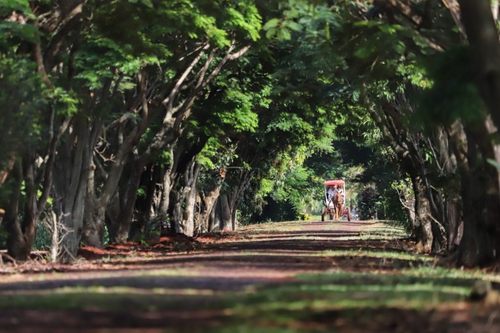 Paraná incentiva visitação a seus próprios e variados atrativos para alavancar retomada do turismo 5ab8fa20 Itaipulndiahotelitacor 019 Scaled 1024x683