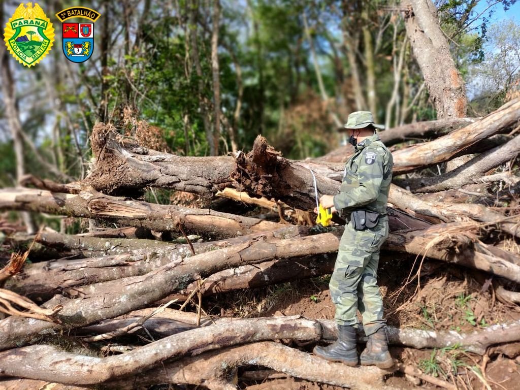 Polícia embarga 95 hectares e aplica mais de R$ 1 milhão em multas B4dfaff5 Multa
