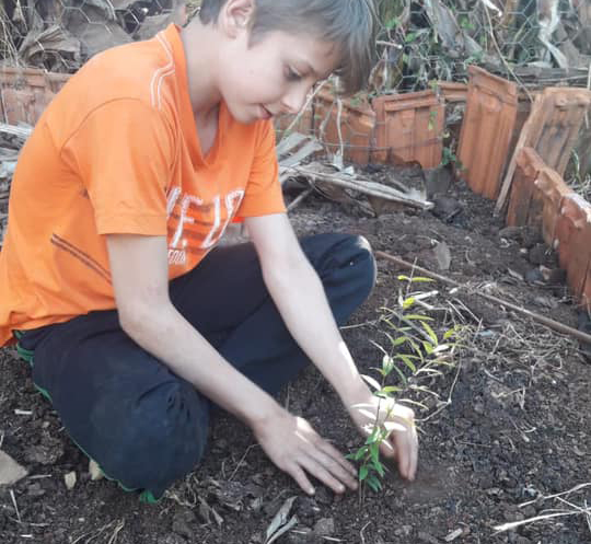 85ccc253 Chopinzinho