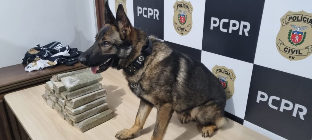 9928aabc Noc 1024x461