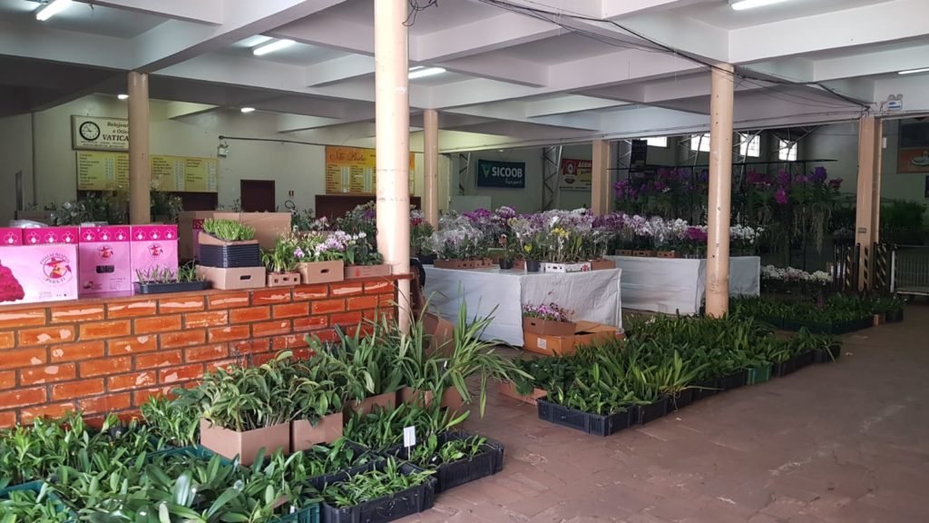 Dfa4e5ce Expoflor 1024x576