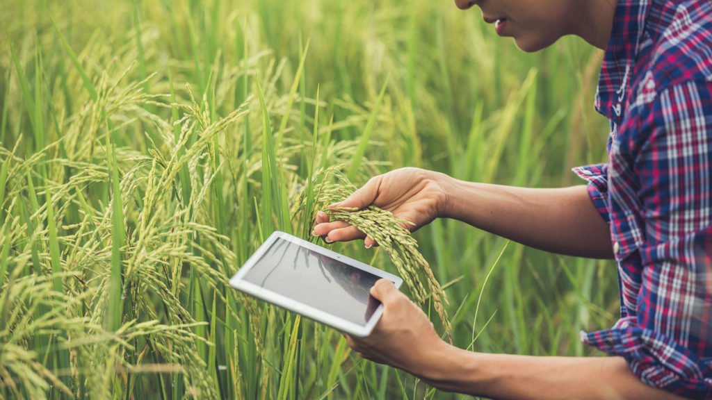 Ebc35c2d Agicultur Com Tabelet Tecnologia No Campo 1024x576