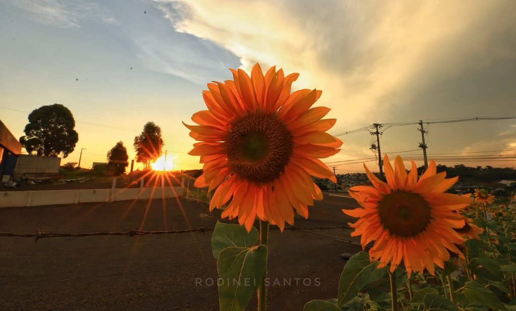 1cebc598 Verao Foto 1024x617