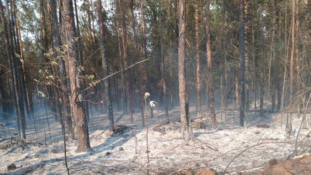 4f833c5c Quedas 1024x576