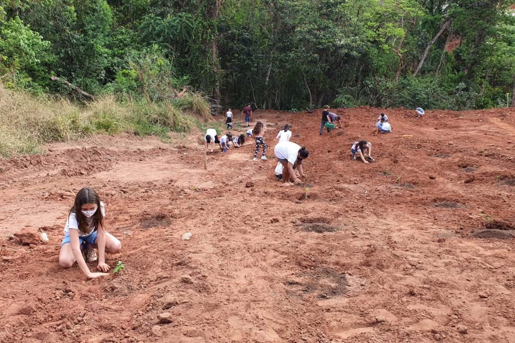 E0c7332d Plantio De Mudas 1024x682