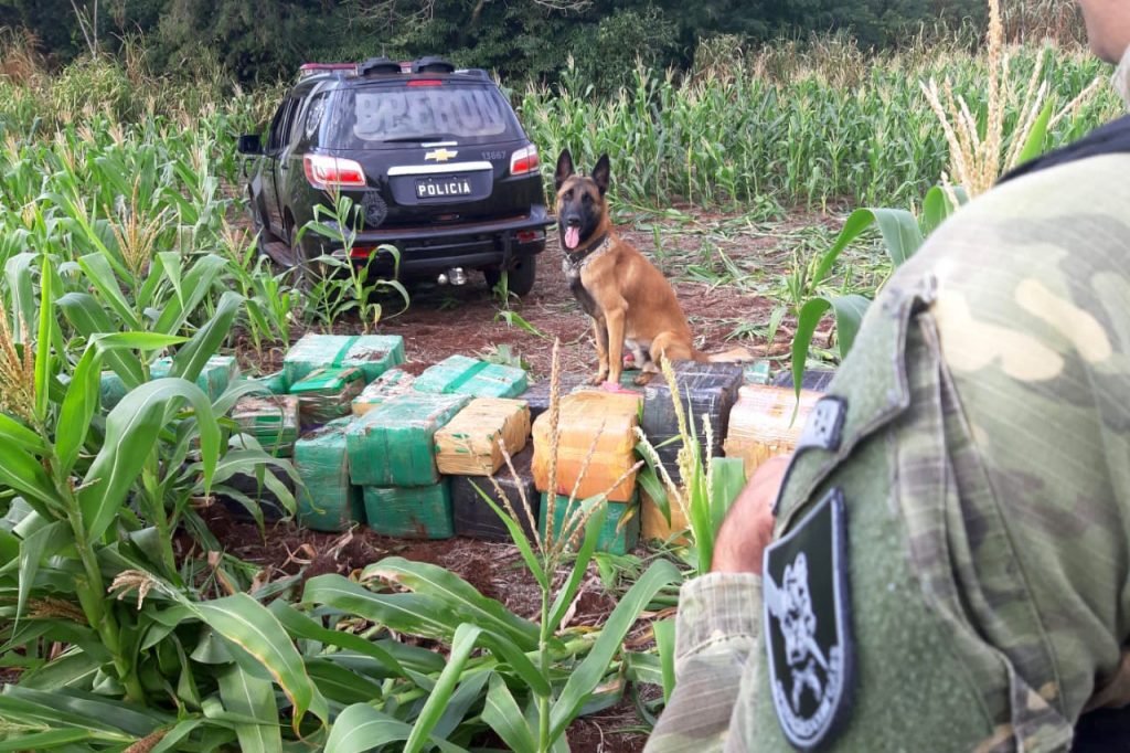 E754d3c8 Drogas Pr 1024x682