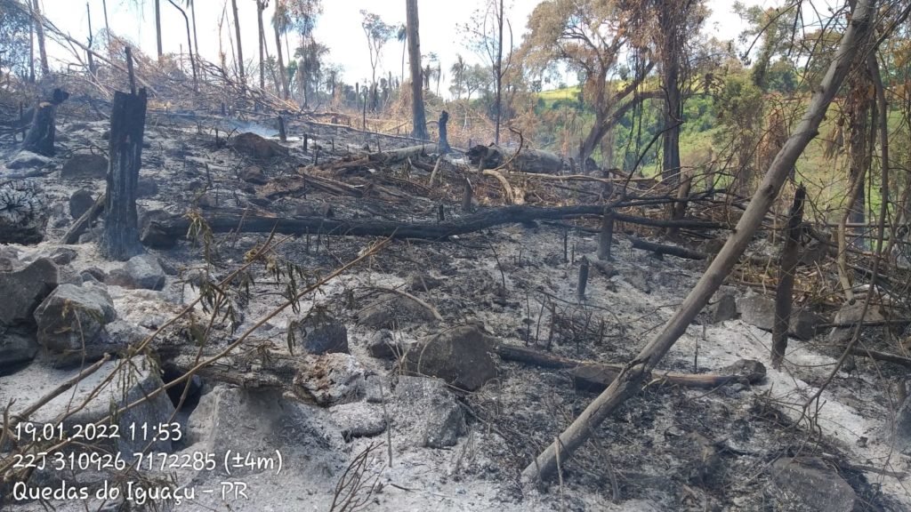 Polícia Ambiental autua agricultor em R$ 90 mil por desmatamento 10dd5759 Desmatamento 1024x576