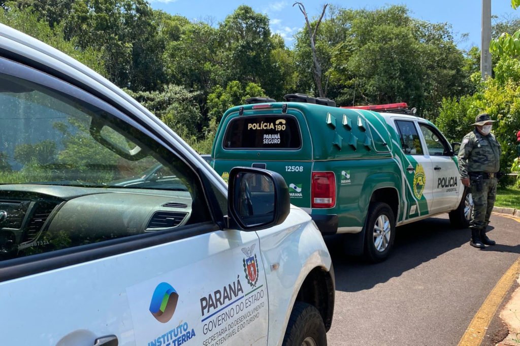 4bbcc5f1 Iat 1024x682