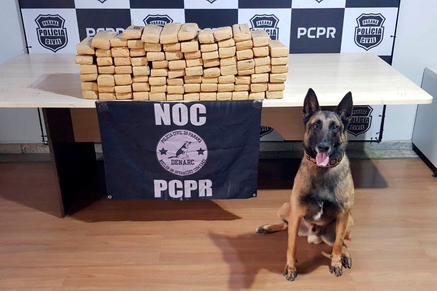 63ca7da6 Noc Drogas