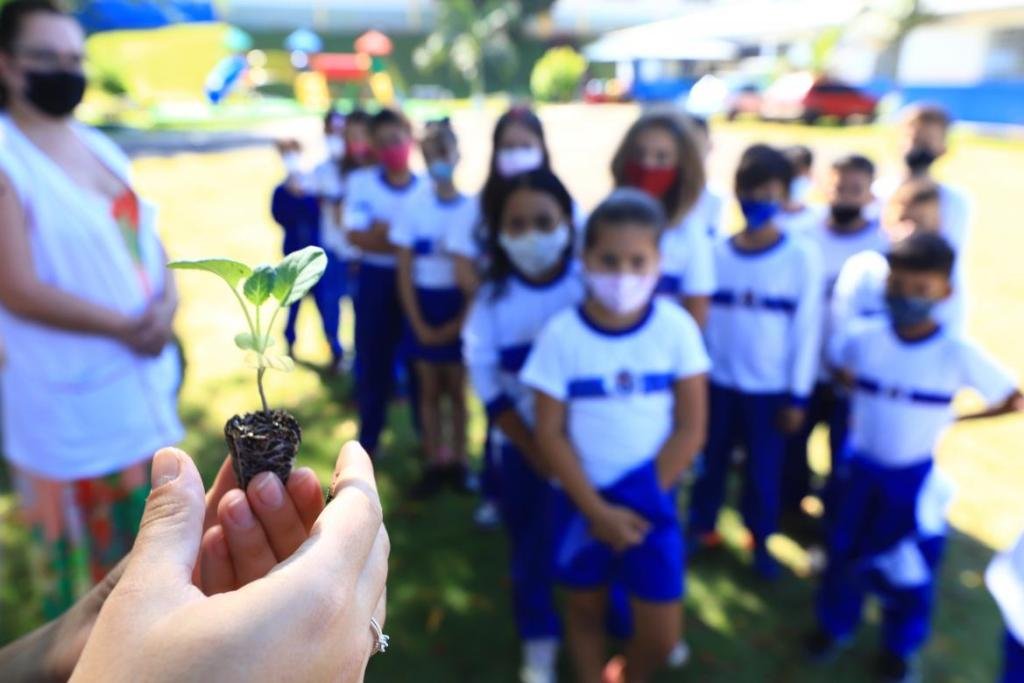 Meu Canteiro: Alunos da rede municipal participam do projeto 2ecb262b Meu Cnateiro
