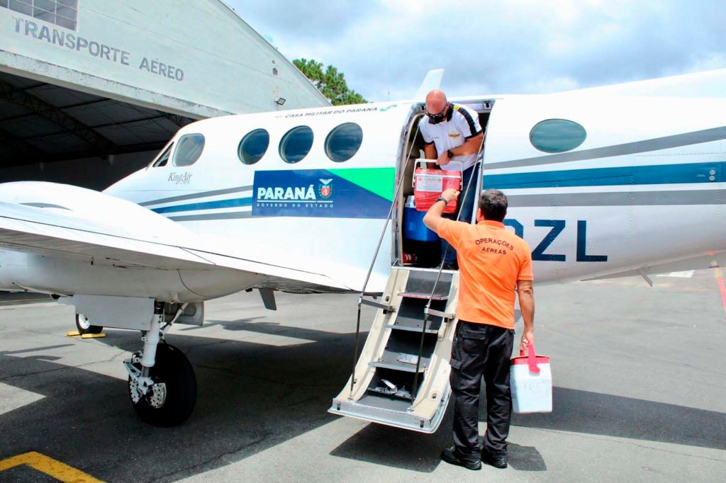 3d6d2b10 Transplante 1024x682