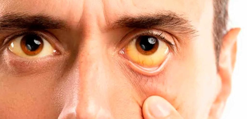 3d74379c Ilustra 1024x496