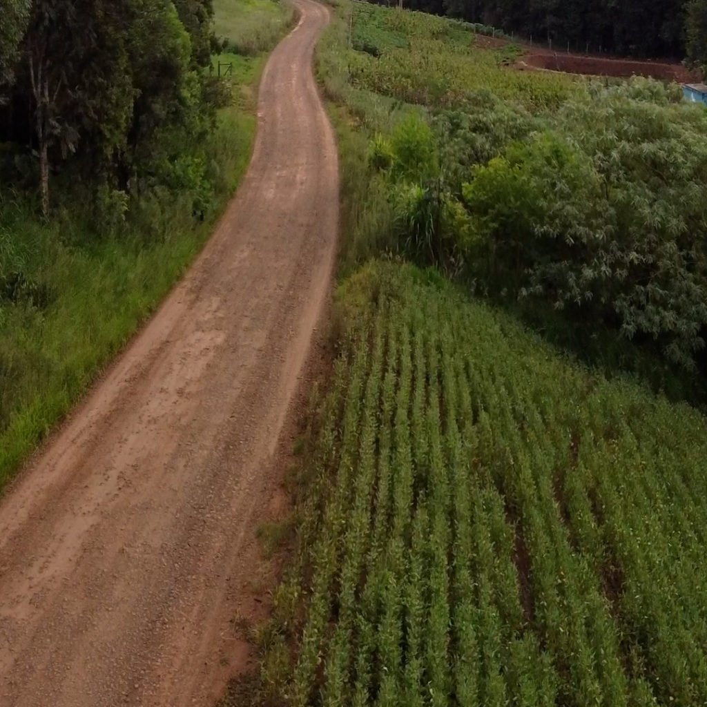 Comunidade São Caetano receberá pavimentação asfáltica 4d57ddf4 Sao Caetano 1024x1024