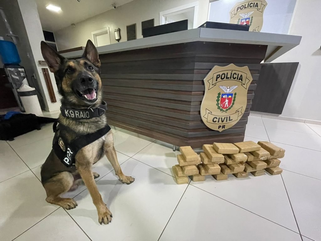 7eb682b6 Drogas 1024x768