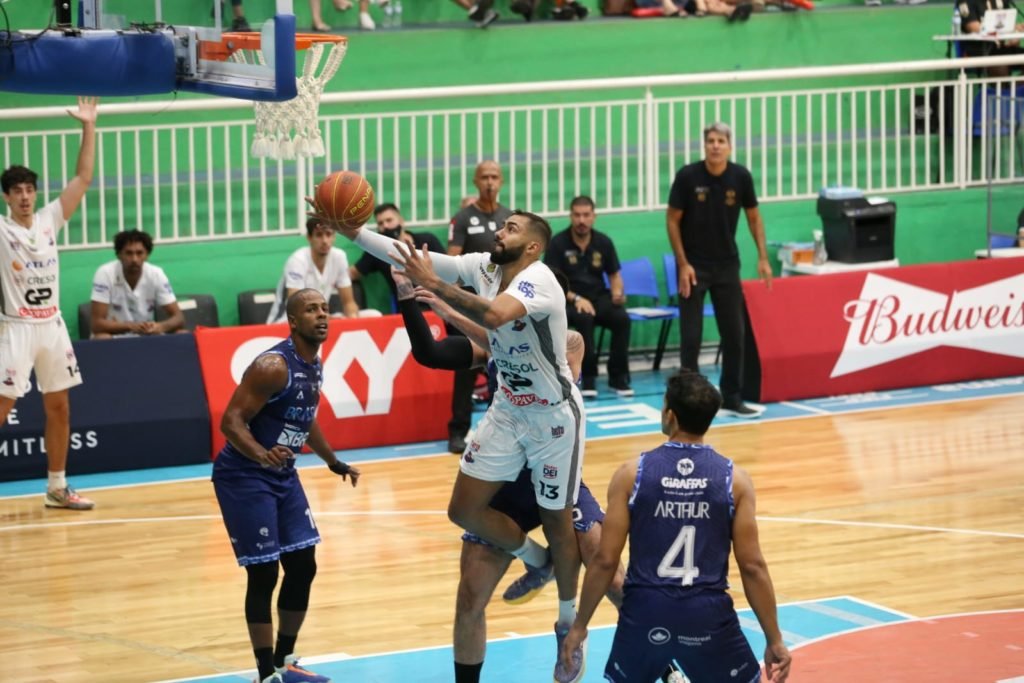 Dff3583c Pato Basquete 1024x683