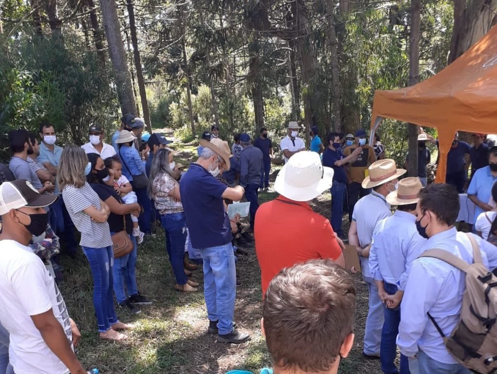 F05681e1 Palmas 1024x772