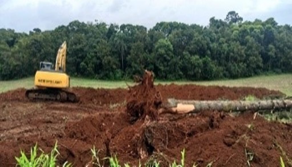 B3ccd318 Crime Amb 1024x587