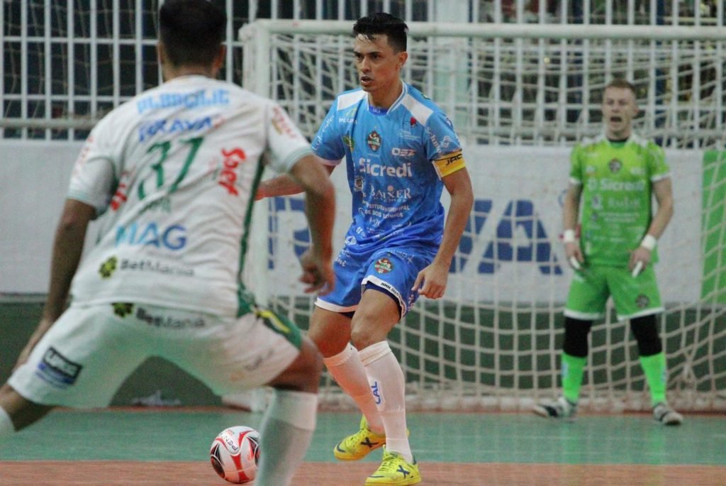 D1fb9863 Galo Dois Vizinhos 1024x685