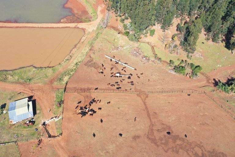 PF combate contrabando de gado argentino para o Brasil 0114ba2d Pf Gado