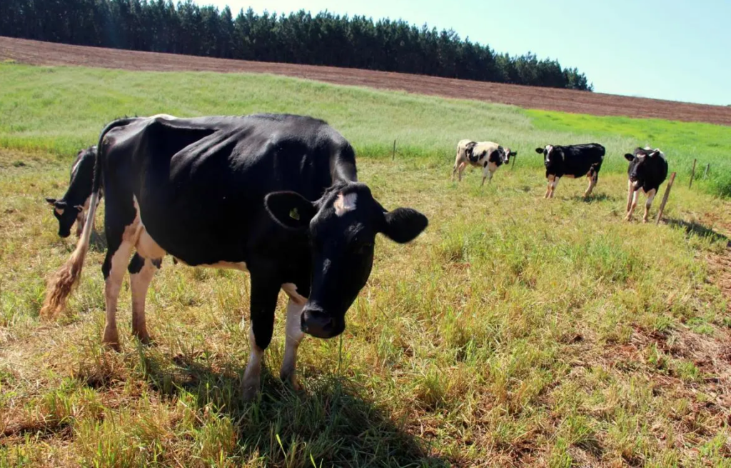 325978ac Idr 1024x655