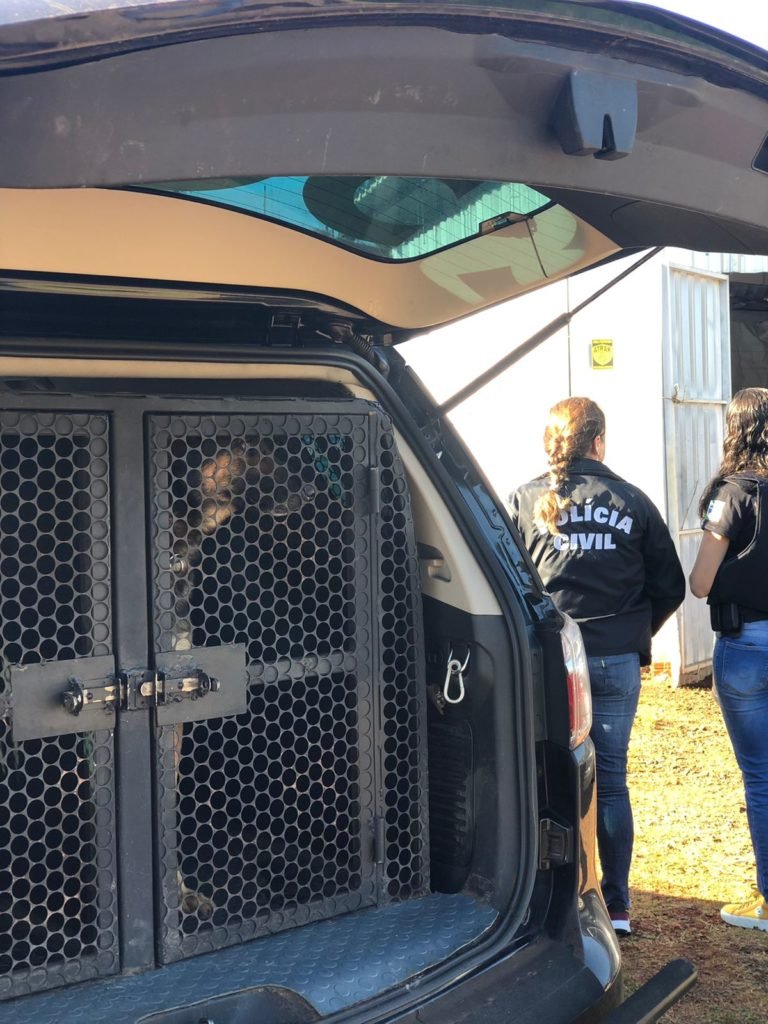 5216118f Preso Fem 768x1024