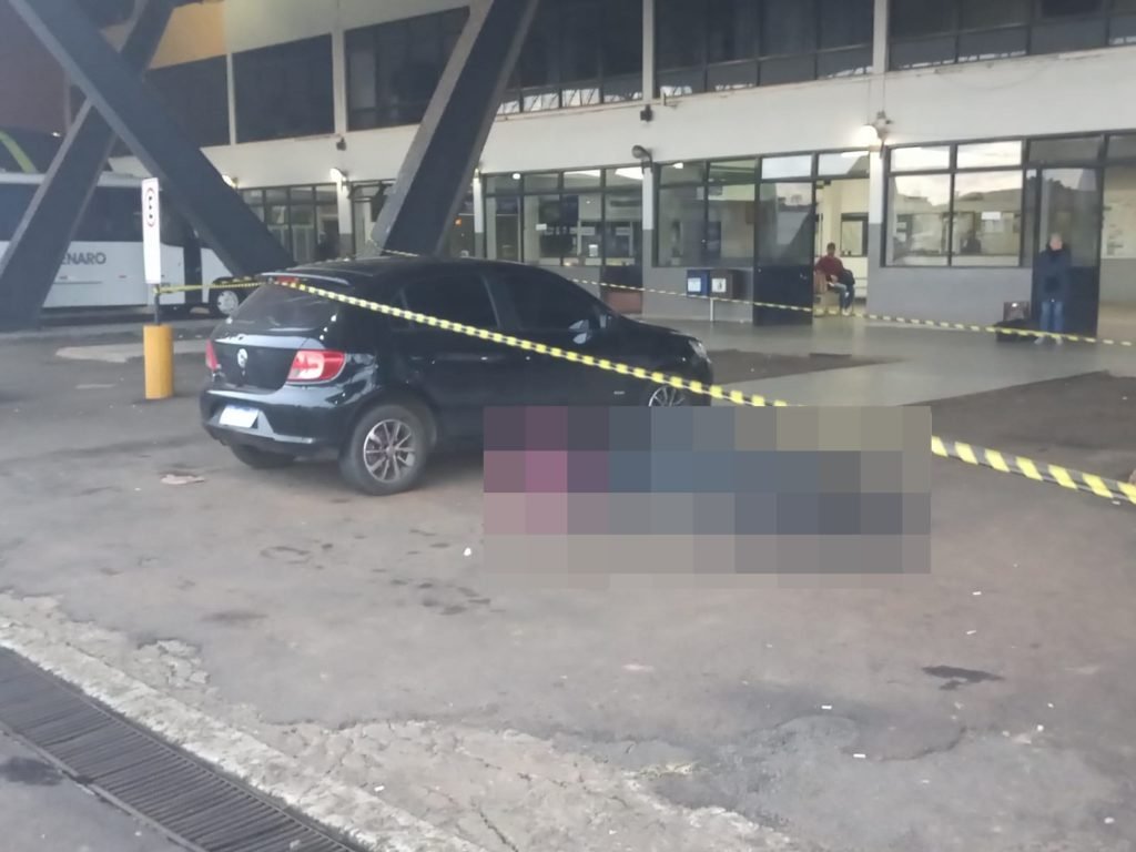 9868216a Palmas 1024x768