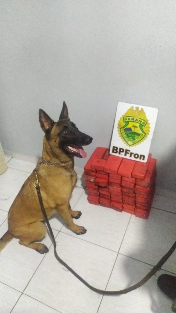 B4a9b4bb Realeza 576x1024