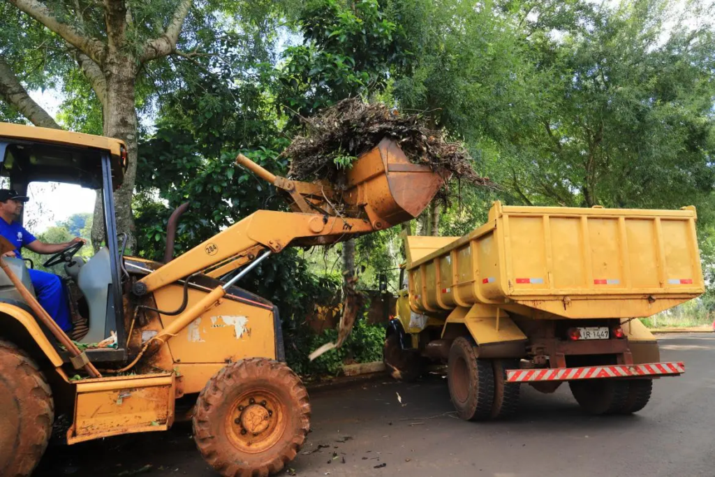 1ec87982 Dengue 1024x683