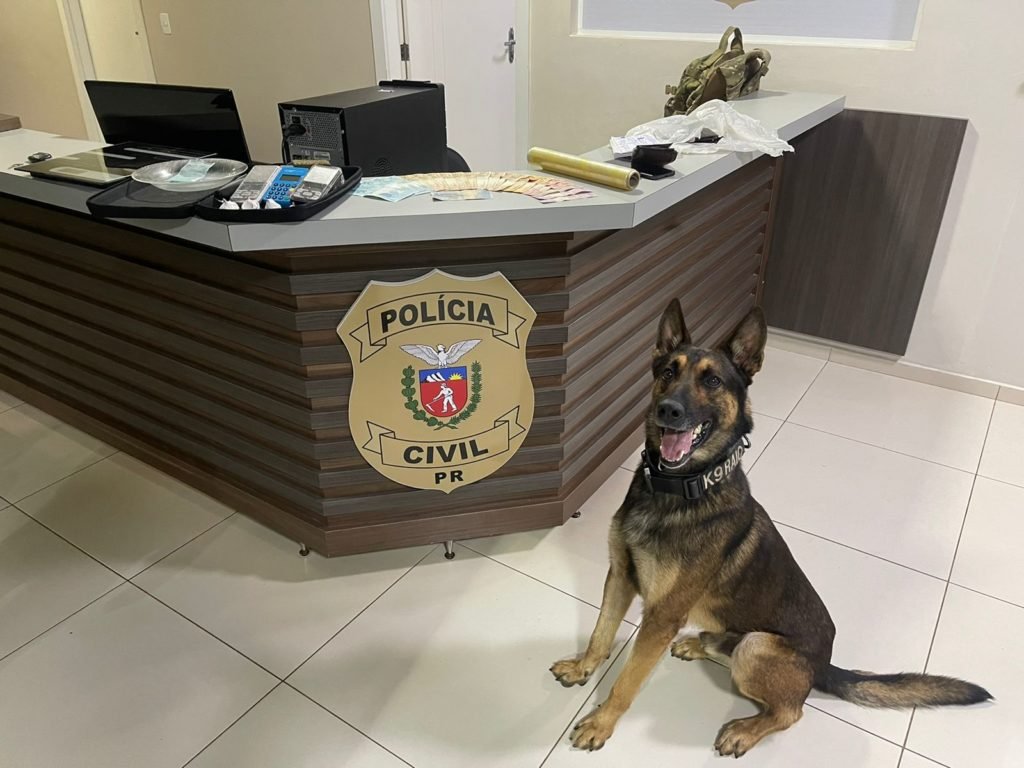 6c87a891 Pc 1 1024x768