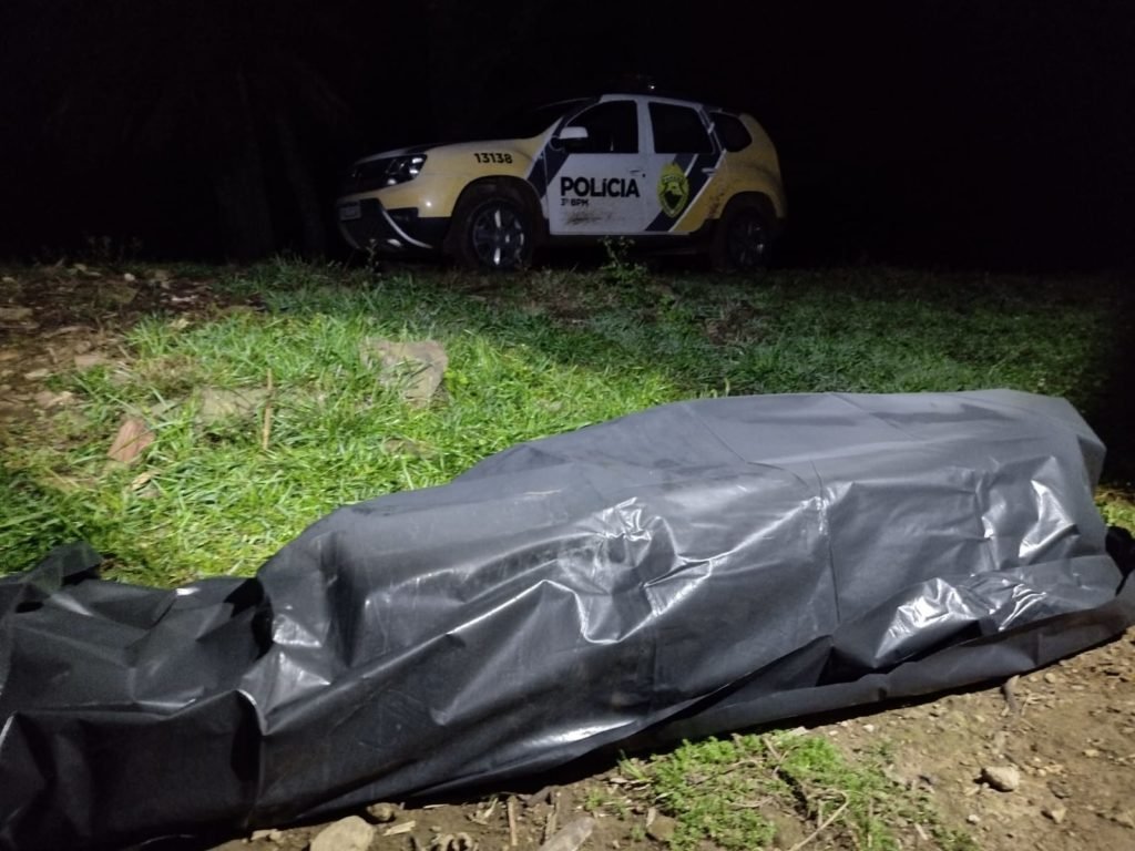 D8096eb0 Palmas 1024x768