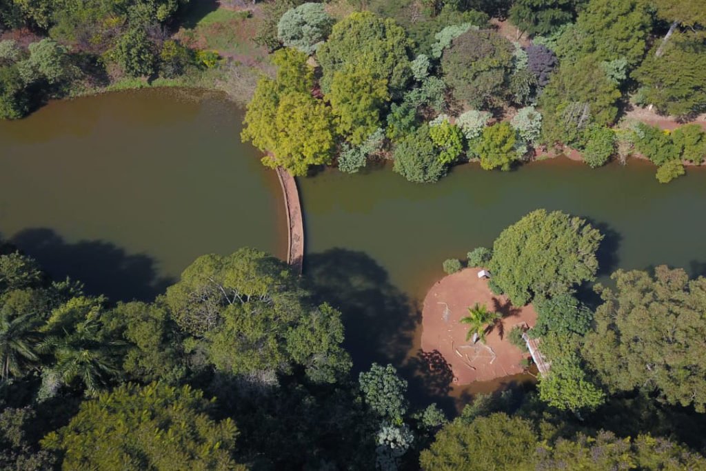 E123c7c0 Alessandro Vieira 8 0 1024x683