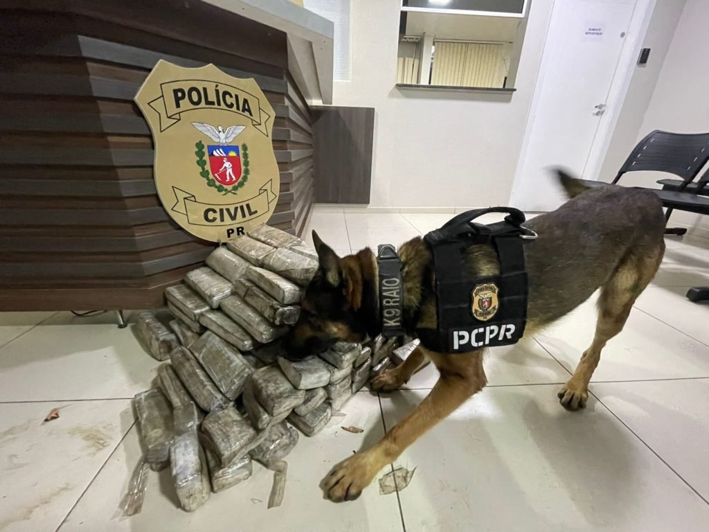 F2c2e5d9 Policia 1024x768