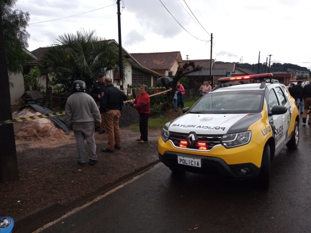 05f789e1 Palmas 1024x768