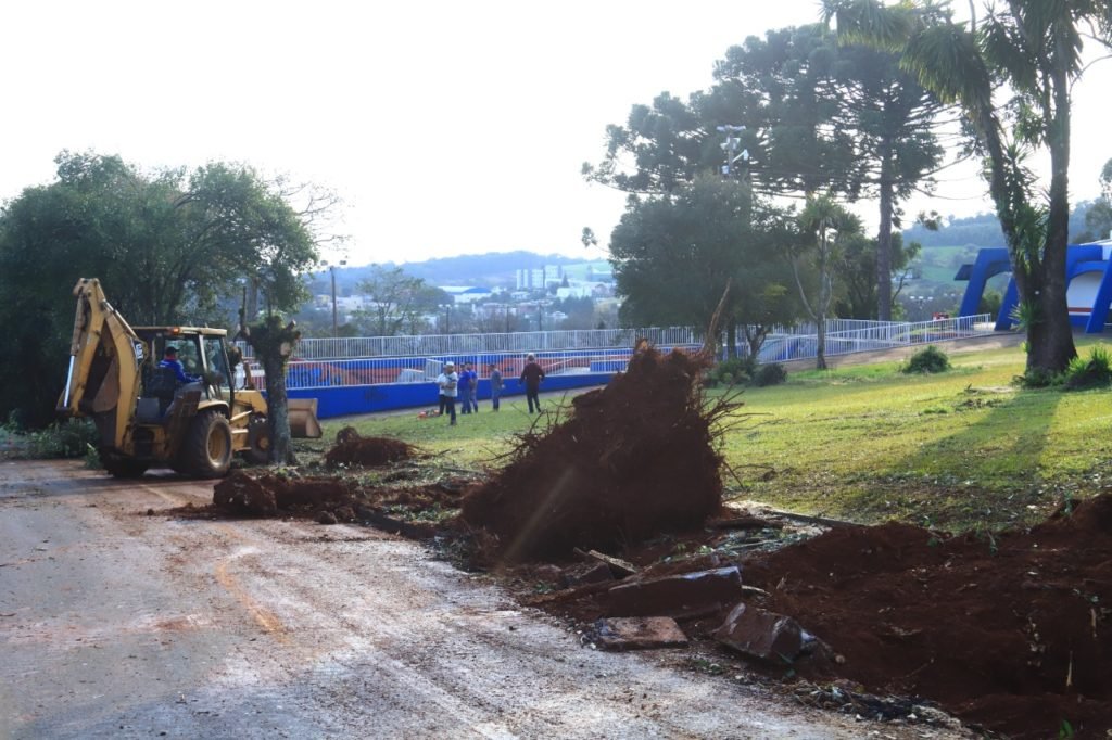 08cb58eb Arvores 1024x682