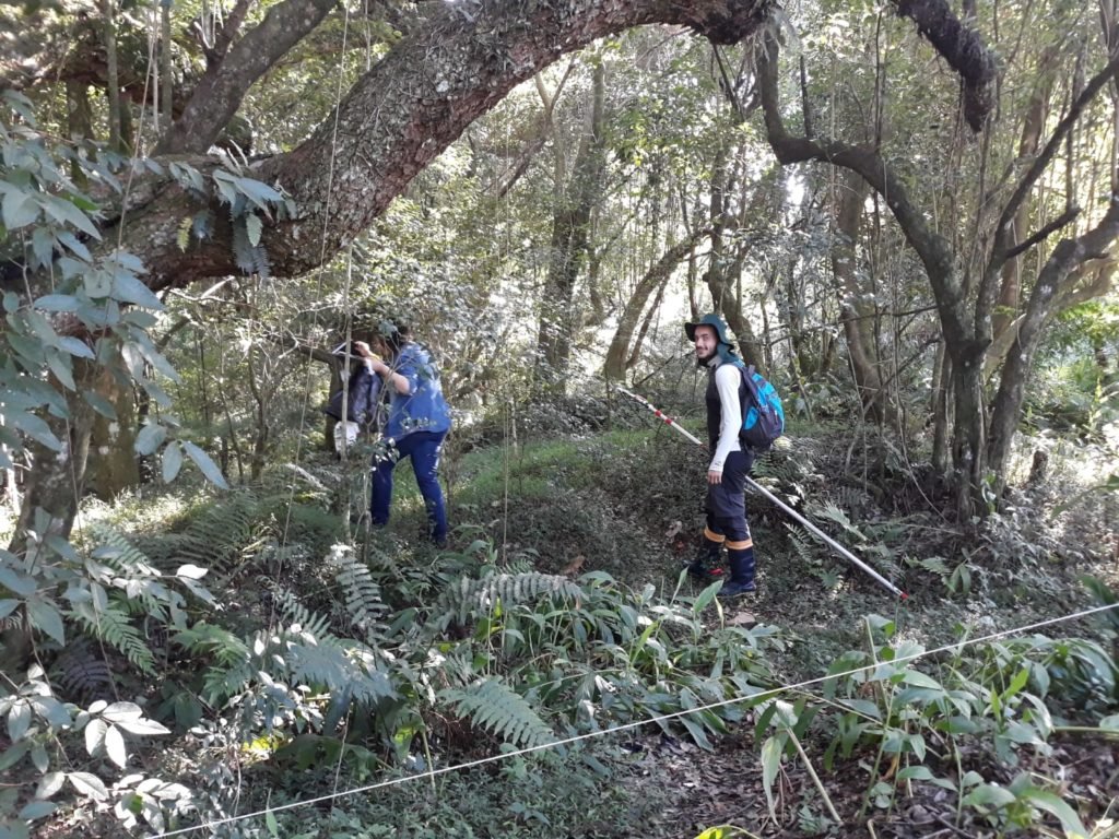 61fdd090 Foto 1 1024x768