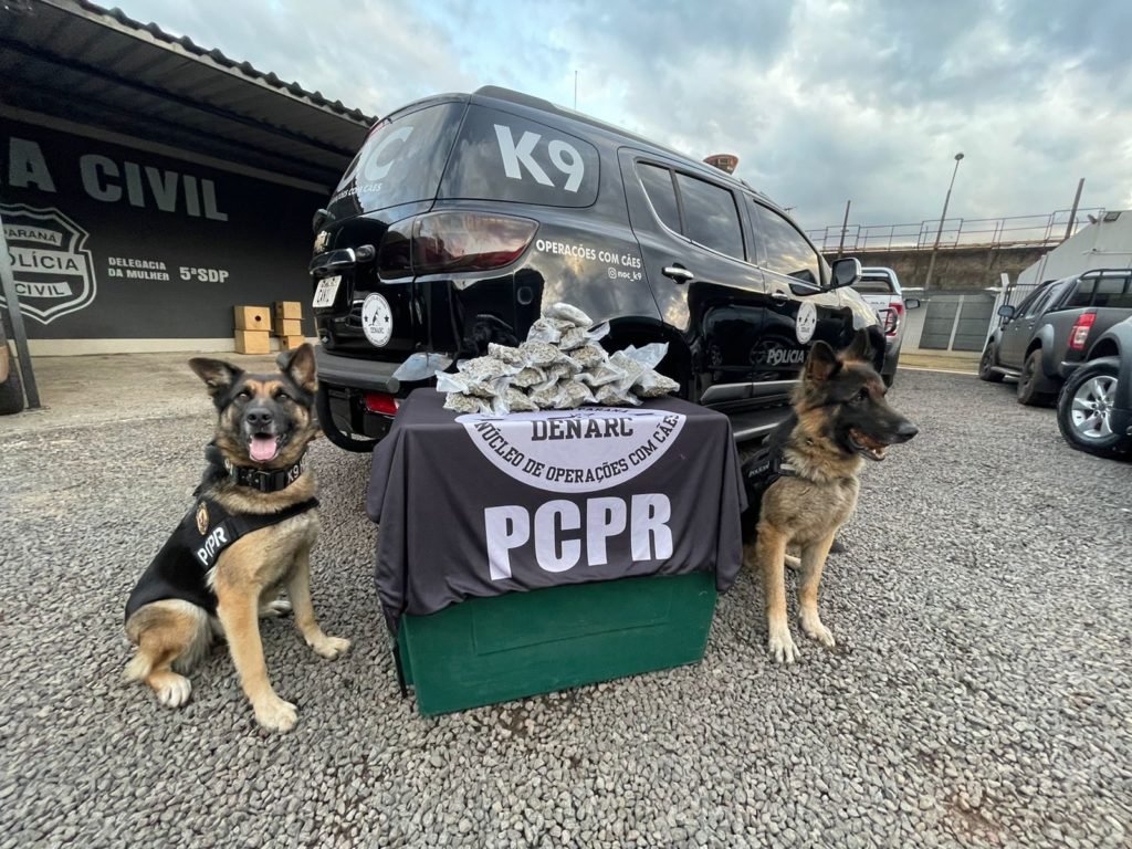 Polícia Civil apreende 5kg de maconha em ônibus 71d30d4c Maconha 1024x768