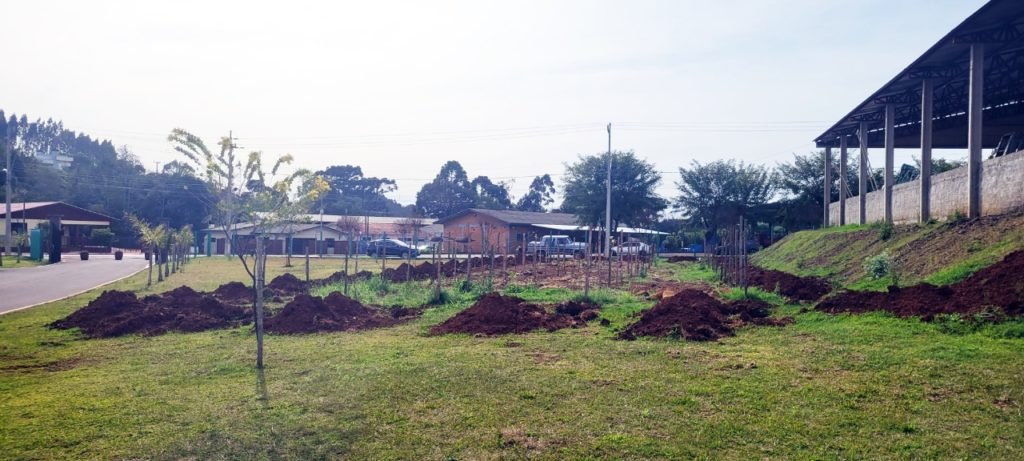 02d8a71f Mariopolis Uva 1024x461